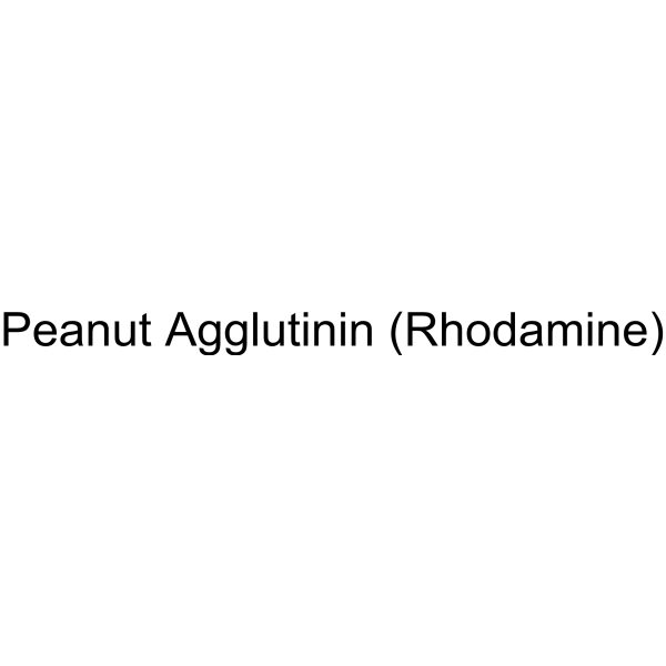 Peanut Agglutinin (Rhodamine)